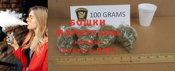 стафф Галич
