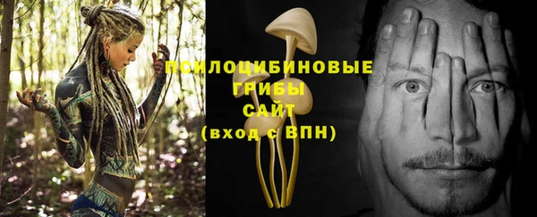 эйфоретик Володарск