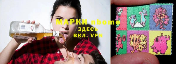 сатива Гатчина