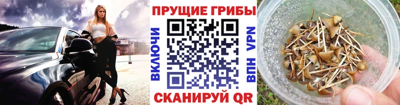 Галлюциногенные грибы ЛСД  hydra ссылка  Электроугли 
